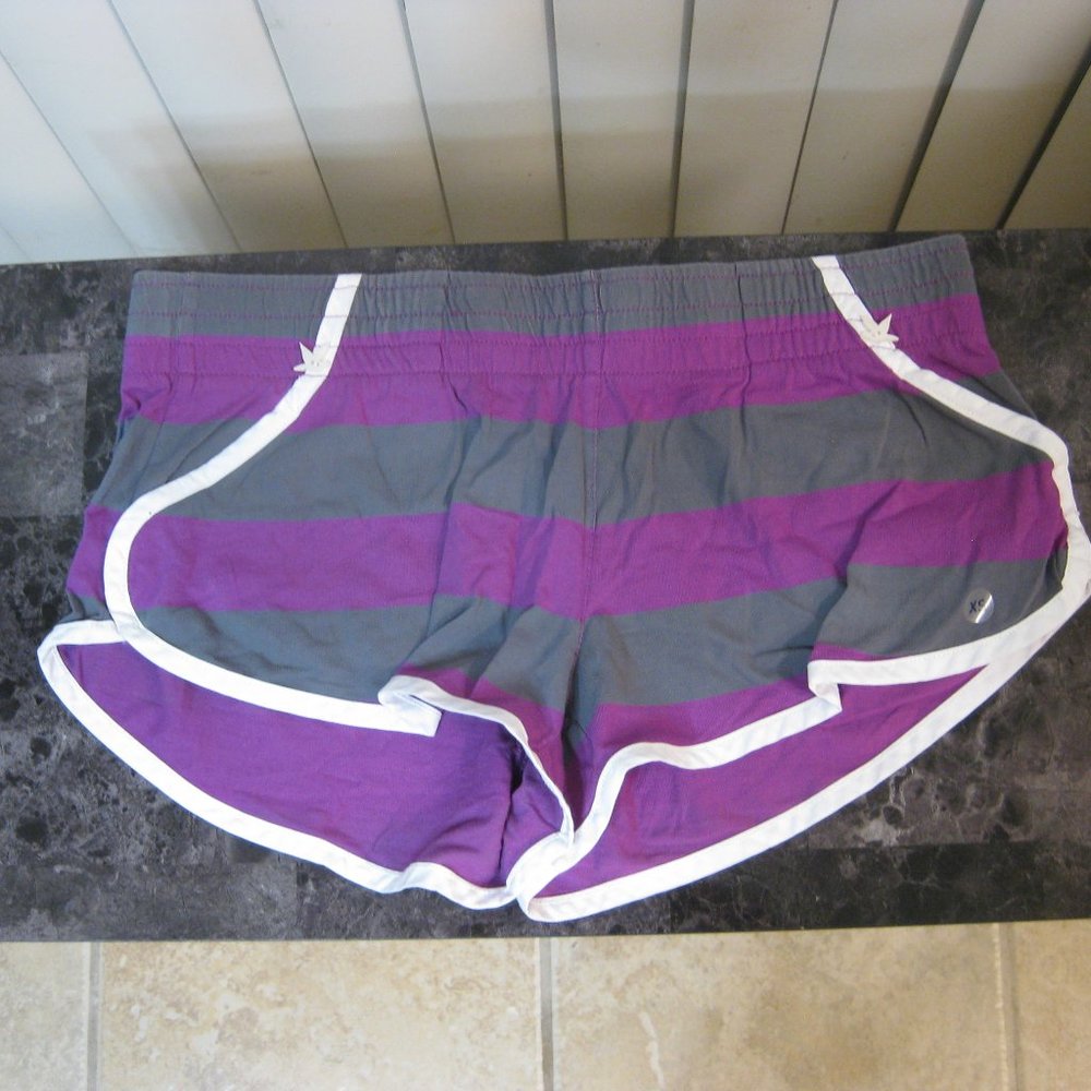 NWT American Eagle AE Aerie purple gray striped shorts XS